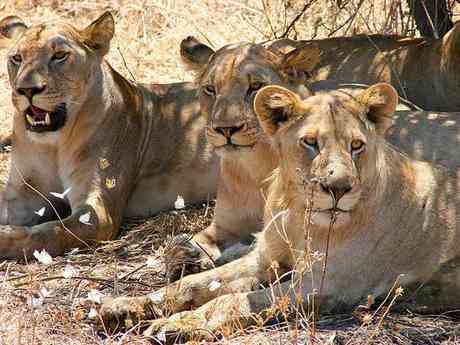 Kruger and Panorama Route Experience